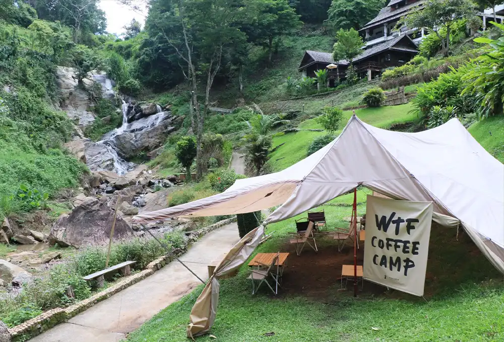 WTF Coffee Camp